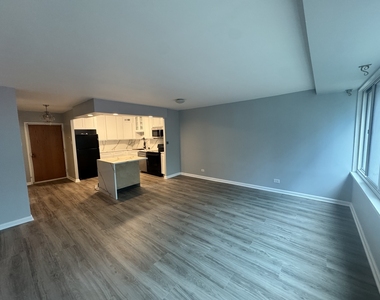 211 E Ohio Street - Photo Thumbnail 3