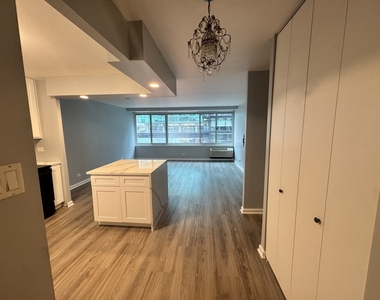 211 E Ohio Street - Photo Thumbnail 1