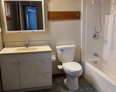 24136 W Lockport Street - Photo Thumbnail 6