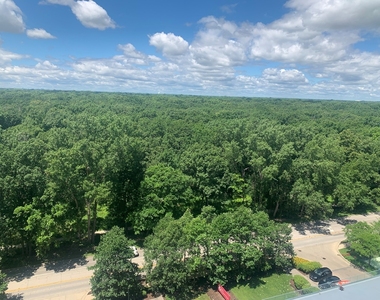 9655 Woods Drive - Photo Thumbnail 33