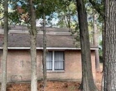 12314 Wild Pine Drive - Photo Thumbnail 13