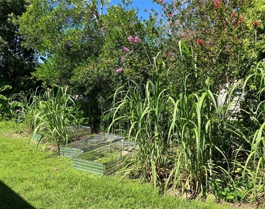 3834 Charter Road - Photo Thumbnail 49