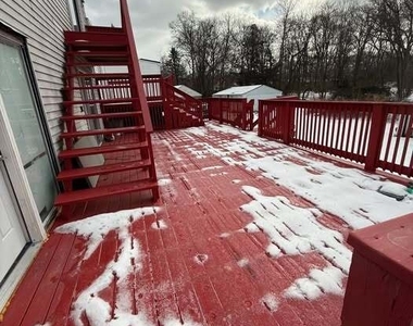 290 Priscilla Street - Photo Thumbnail 8