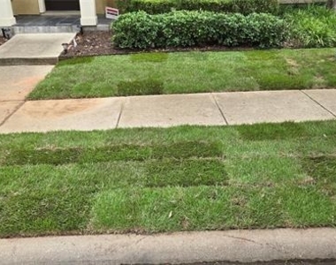 10531 Steinbeck Lane - Photo Thumbnail 19