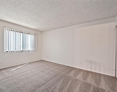 3959 W Palomino Road - Photo Thumbnail 12