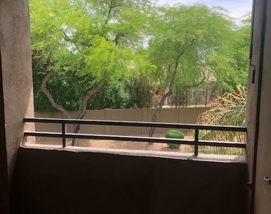 7009 E Acoma Drive - Photo Thumbnail 21
