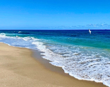 3605 S Ocean Boulevard - Photo Thumbnail 33