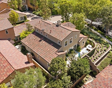 61 Shade Tree - Photo Thumbnail 22