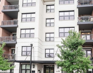701 Swann Avenue - Photo Thumbnail 6