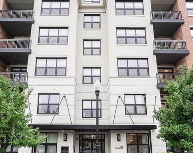 701 Swann Avenue - Photo Thumbnail 5