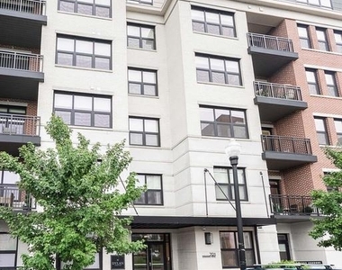 701 Swann Avenue - Photo Thumbnail 7