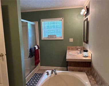 21621 Old Maxton Road - Photo Thumbnail 14