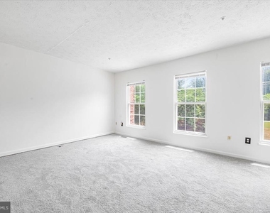 11304 Southlakes Drive - Photo Thumbnail 16