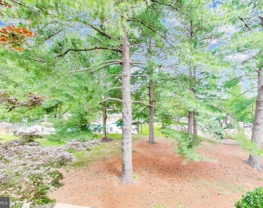 13117 Wonderland Way - Photo Thumbnail 22