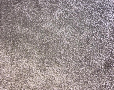 1117 Castle Harbour Way - Photo Thumbnail 35