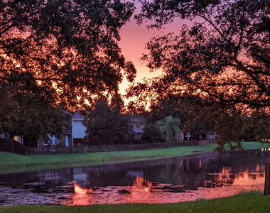 1432 Greyfield Drive - Photo Thumbnail 54