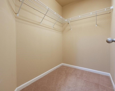 1010 Chelsey Way - Photo Thumbnail 48