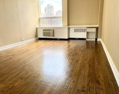 1360 N Sandburg Terrace - Photo Thumbnail 22