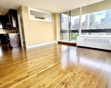 1360 N Sandburg Terrace - Photo Thumbnail 9