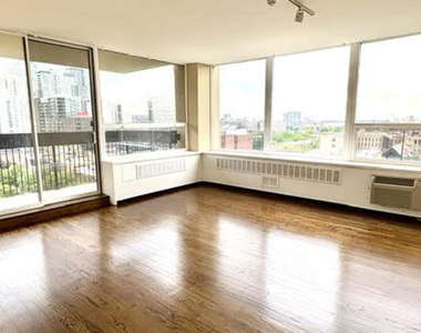 1360 N Sandburg Terrace - Photo Thumbnail 10