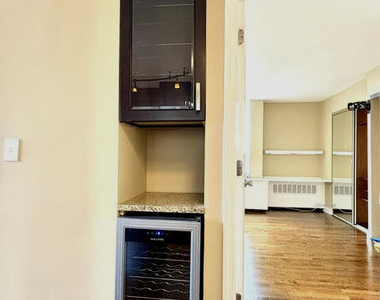 1360 N Sandburg Terrace - Photo Thumbnail 24