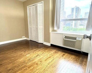 1360 N Sandburg Terrace - Photo Thumbnail 23