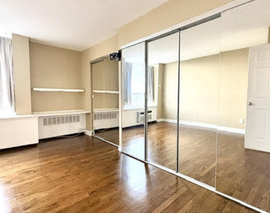 1360 N Sandburg Terrace - Photo Thumbnail 17