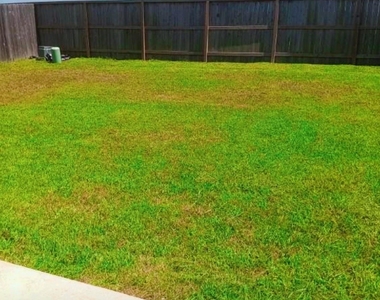 21275 Catalina Palm Drive - Photo Thumbnail 12
