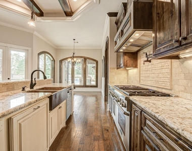 27303 Silver Jade Court - Photo Thumbnail 14