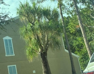 8648 Hunters Key Circle - Photo Thumbnail 20