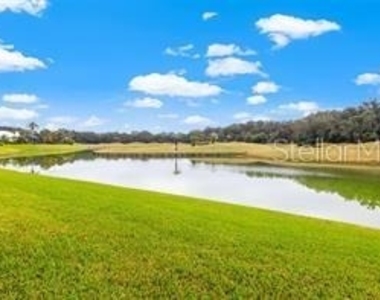 30312 Laurelwood Lane - Photo Thumbnail 55