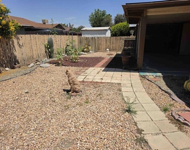 601 Corona Street - Photo Thumbnail 22