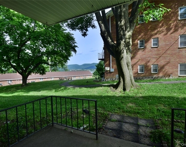 51 Leroy Place - Photo Thumbnail 6