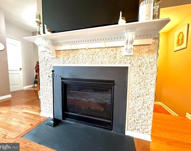 203 Spotswood Street - Photo Thumbnail 11