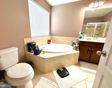 203 Spotswood Street - Photo Thumbnail 22