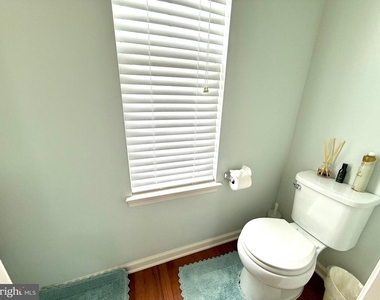 203 Spotswood Street - Photo Thumbnail 17