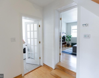 808 Gaul Street - Photo Thumbnail 28