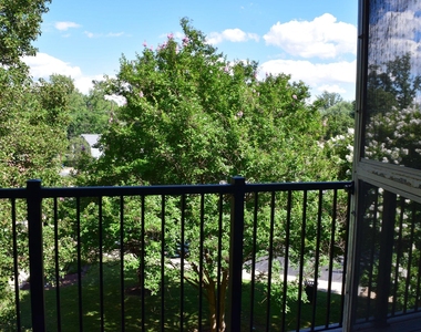 3419 University Boulevard W - Photo Thumbnail 12