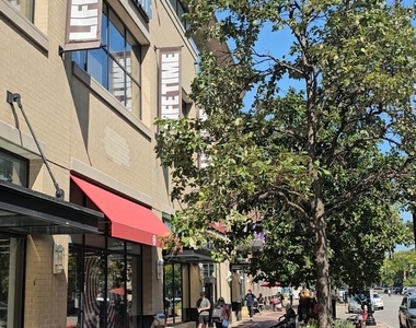 807 Davis Street - Photo Thumbnail 15