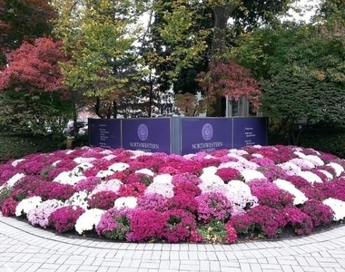 807 Davis Street - Photo Thumbnail 24