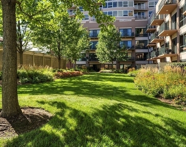 807 Davis Street - Photo Thumbnail 23