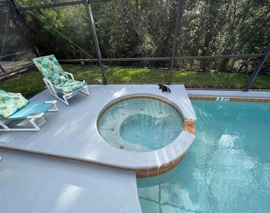 144 Madiera Beach Boulevard - Photo Thumbnail 16