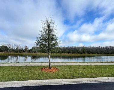 3182 Eagle Hammock Circle - Photo Thumbnail 10