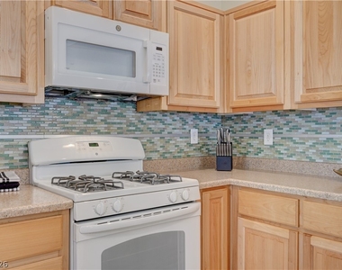 10145 Malibu Creek Court - Photo Thumbnail 18