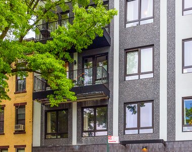 209 Troy Avenue - Photo Thumbnail 8
