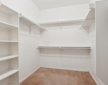 3019 Appaloosa Drive - Photo Thumbnail 19