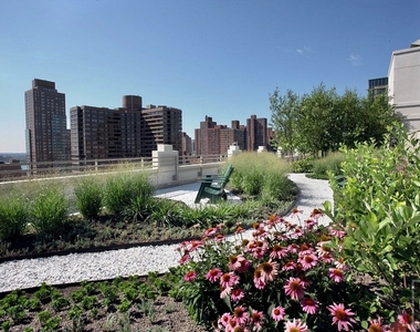 Lexington Avenue - Photo Thumbnail 7