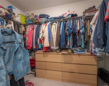 3615 Cat Mint Street - Photo Thumbnail 19