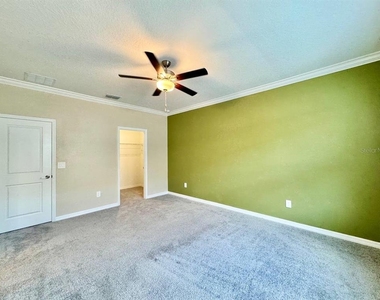 10809 Fowlers Bluff Court - Photo Thumbnail 26