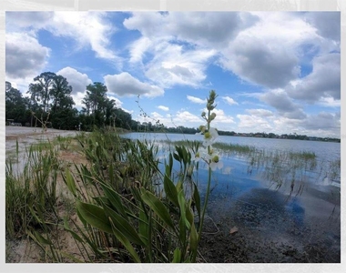 3816 Southpointe Drive - Photo Thumbnail 16